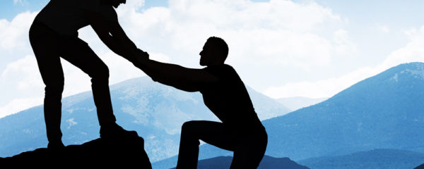 management de transition
